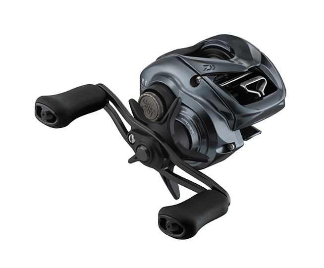 Daiwa 24 Tatula SV TW Multirulle 100H -