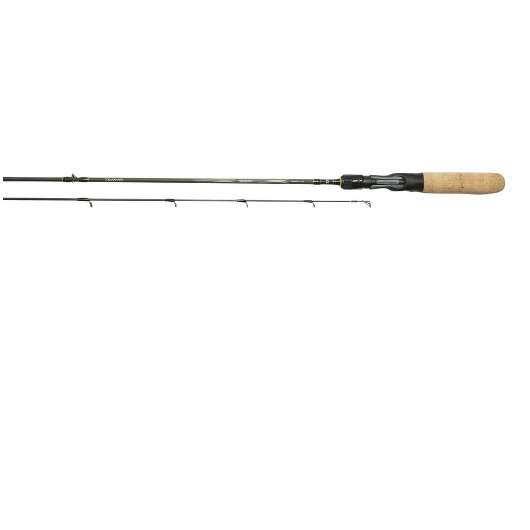 Daiwa Goldcast 602 H 182 cm (6') 10-40 g Spinnspö