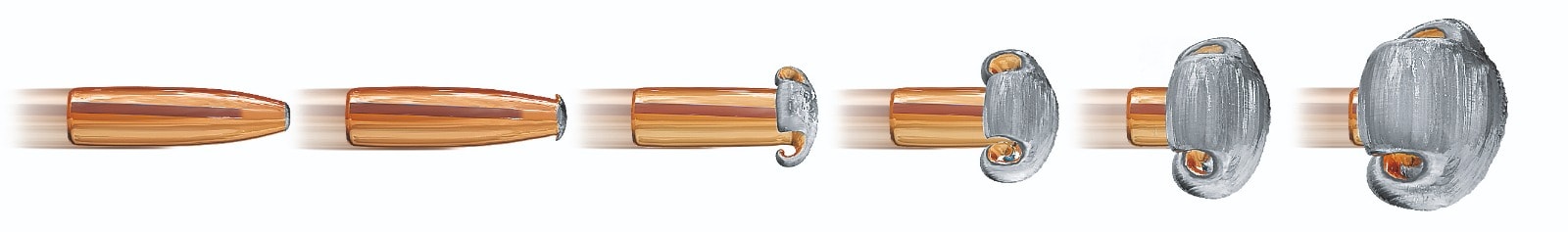 WhatsApp Image 2020-04-27 at 15.26.17.jpeg