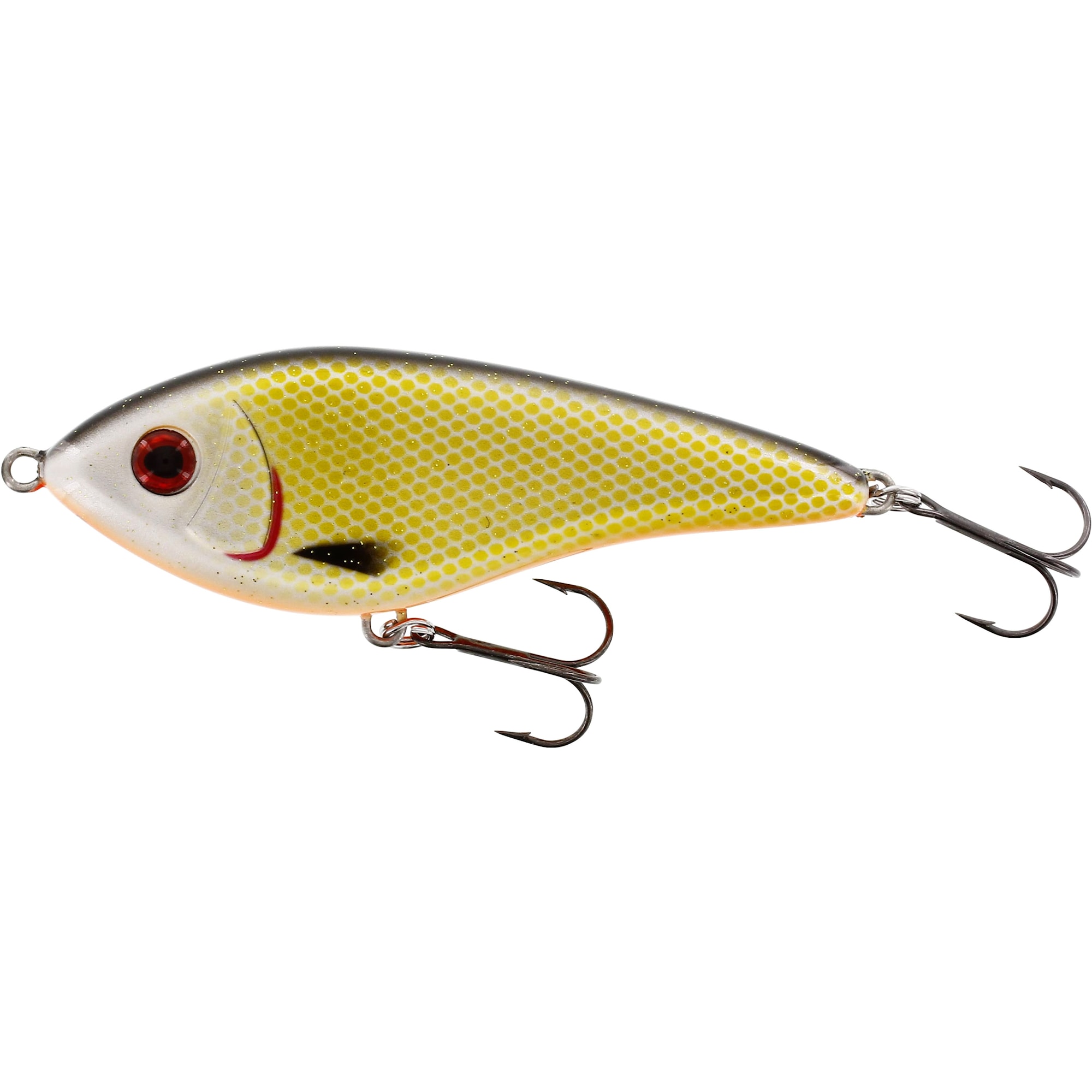 Swim 15 cm Sinking Official Roach