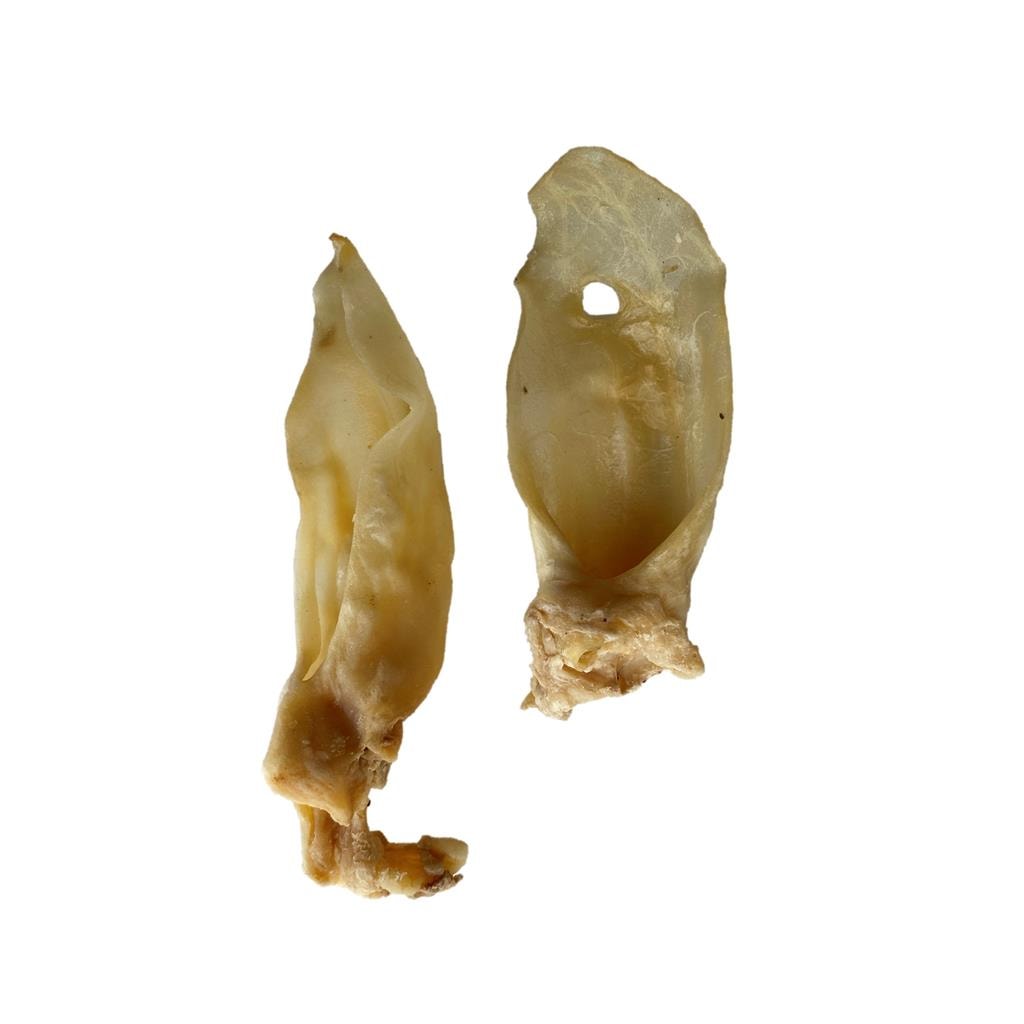 9ca95f01-332e-4339-8e2d-fbb5ab52a0a9[1]