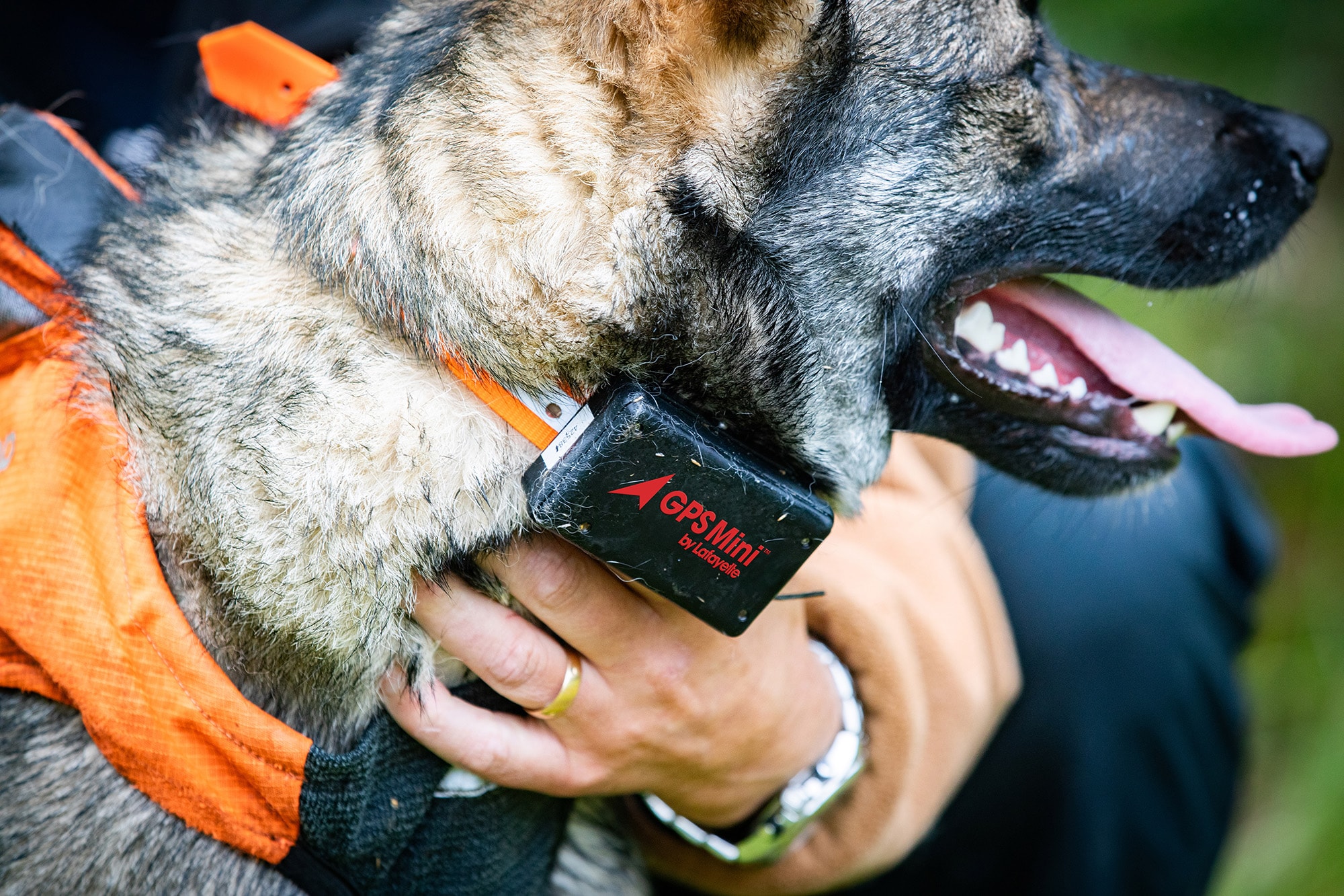 Lafayette GPS Mini 4G Hundpejl -