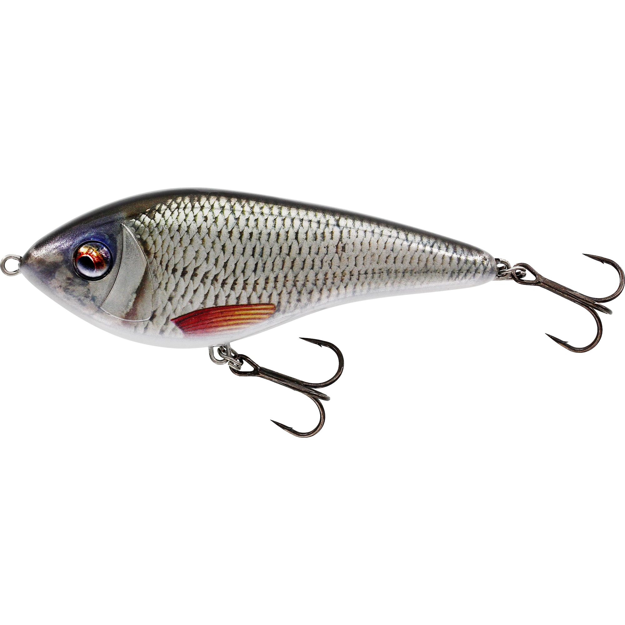 Swim 15 cm Suspending Real Roach