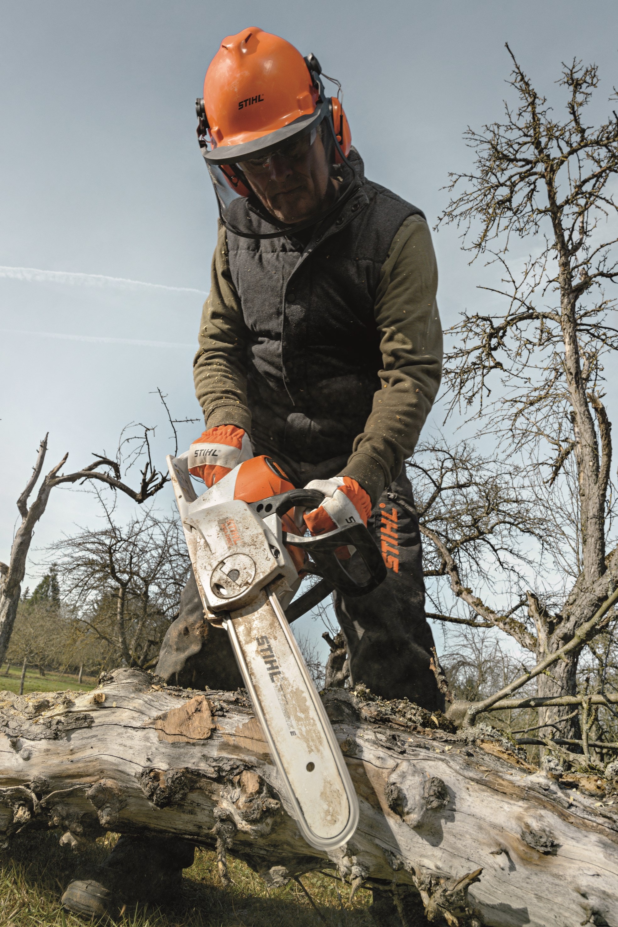 b47ddca6-b11e-4def-b983-188ad109fcce.jfif