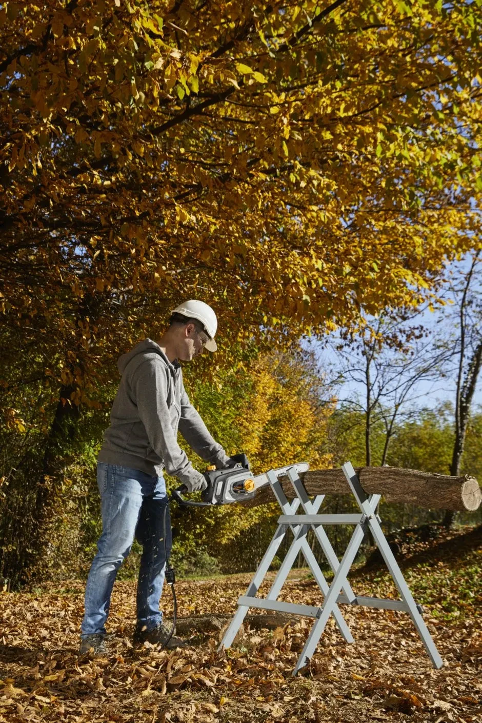 7a4629566404fb78539cc3670f63892e2293646b_ACS181E_2