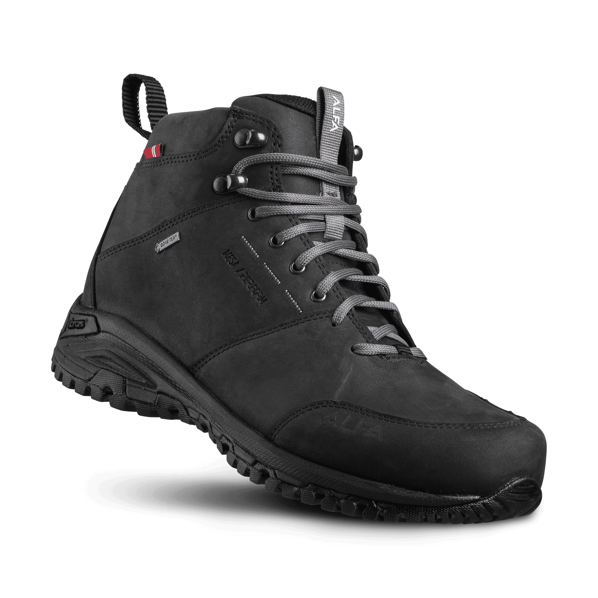 Alfa Mesa Perform GTX Hiking Shoes Men Black