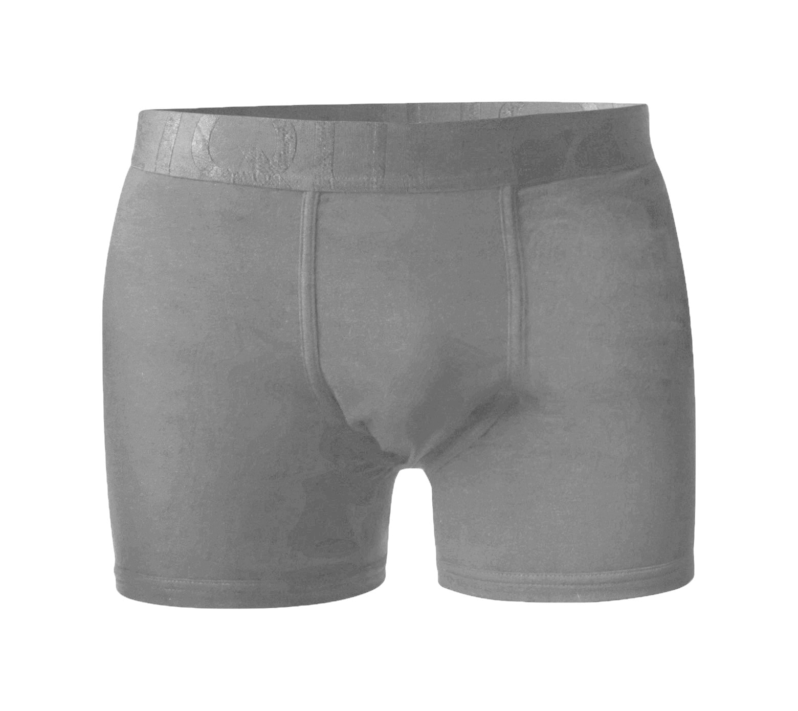 Bambu Boxer Long Leg Grey Melange L -