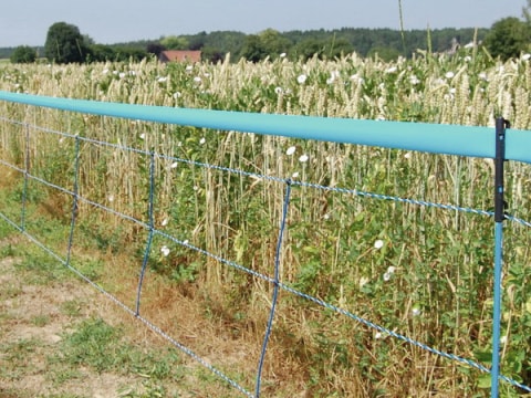 Vildsvinelnät 75cm/50m