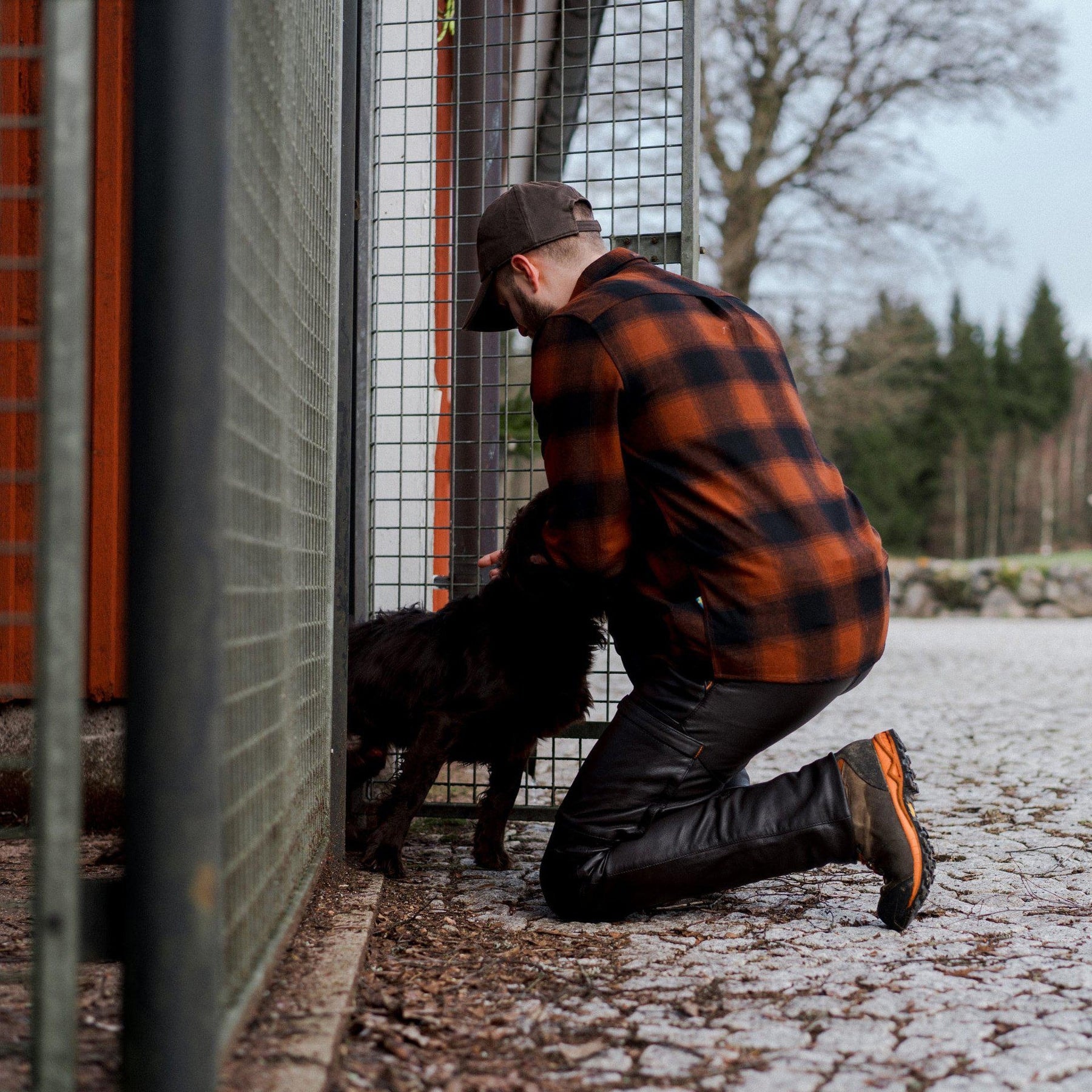 100425555_environment_2_jpg_346f0208-f47e-4207-b52