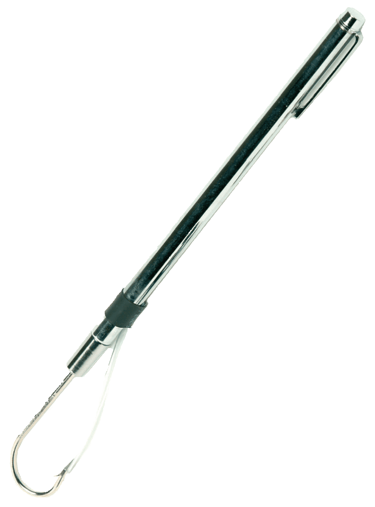 Ifish Telescopic Hook