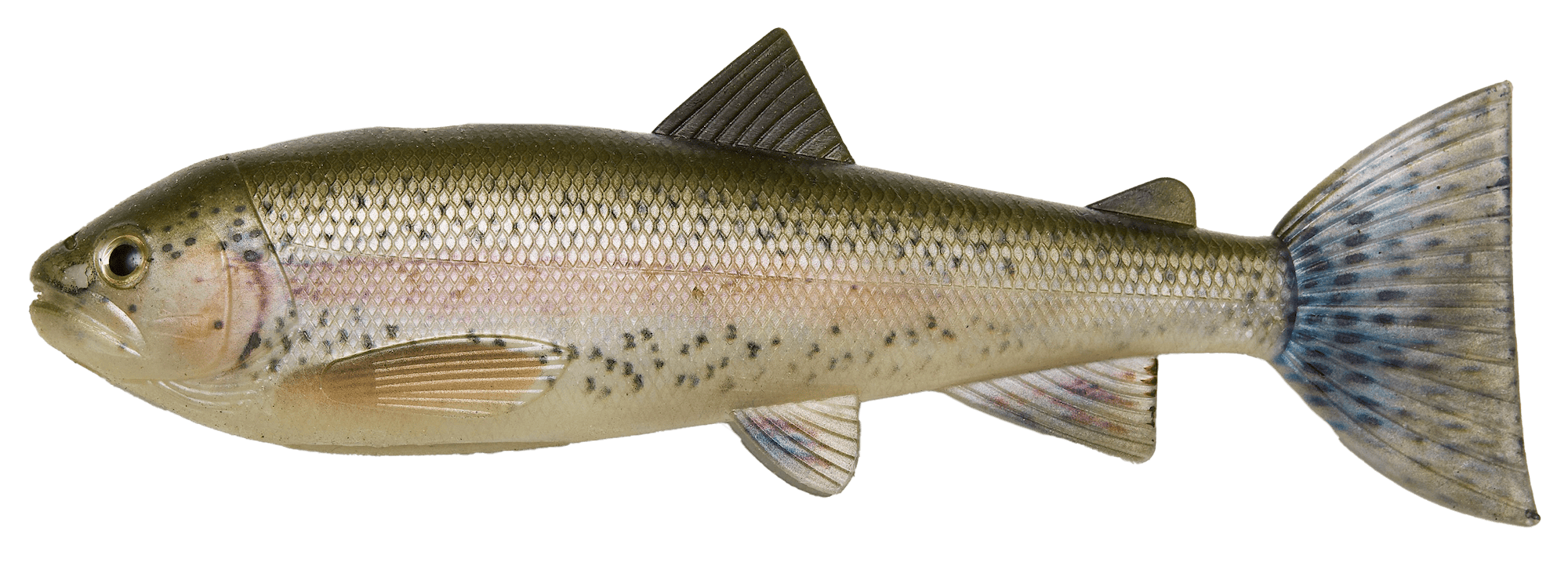 PulzBait Skinz Trout 15cm 2Pcs - Rainbow Trout
