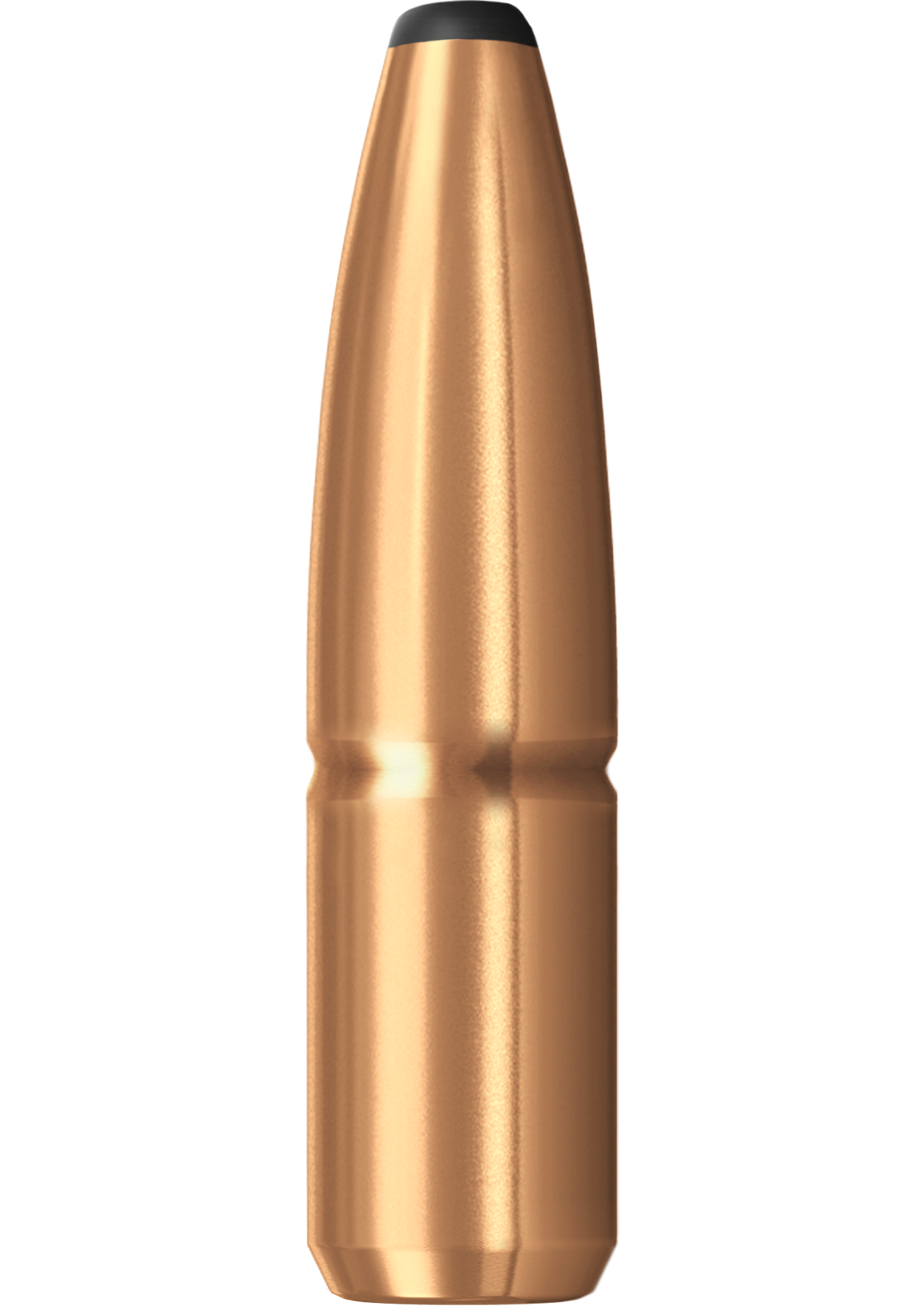 Norma Whitetail_2.png