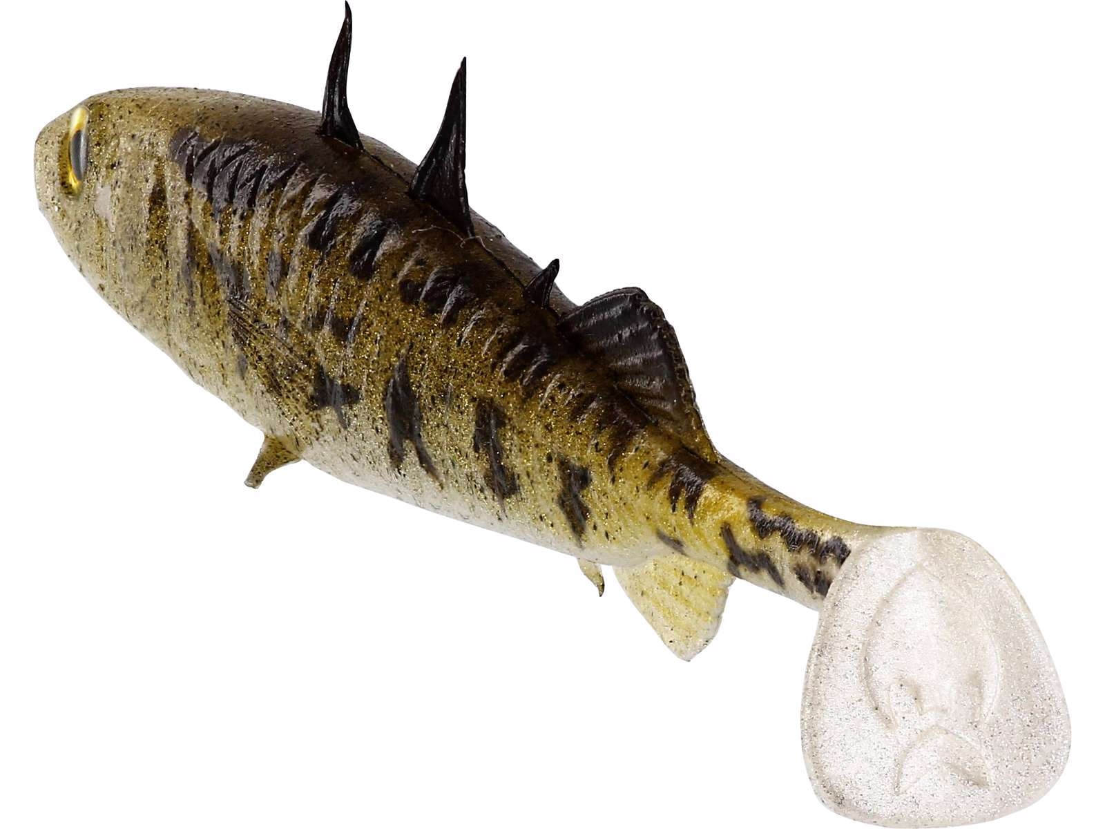 a4053bee-c286-41db-8e4e-bb02d8d05e43_p011_f5_large