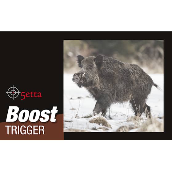 5etta Boost_Trigger.png