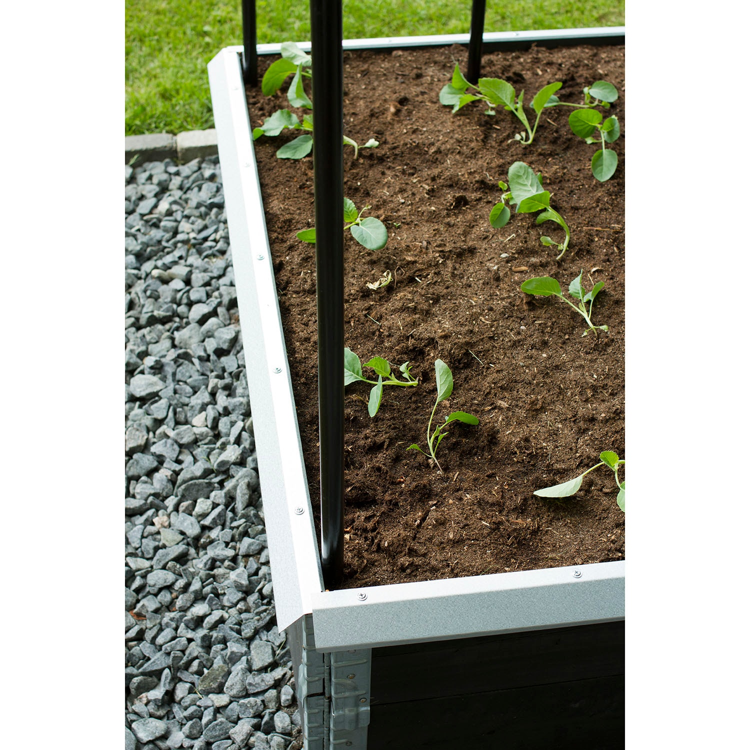 snigelkant-flexigarden-till-odlingslada-i-tra__92e