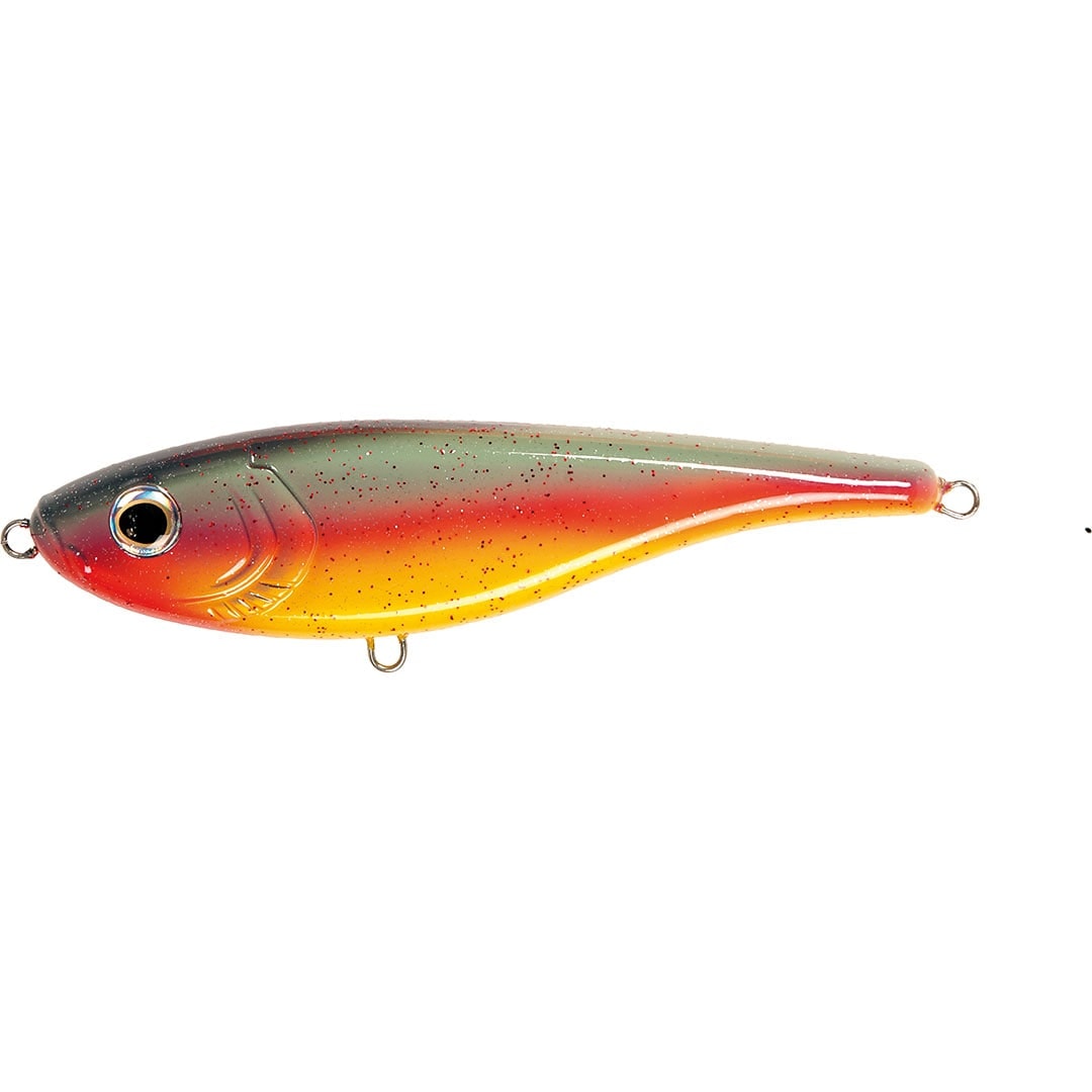 The Duke 15,5 cm Parrot -