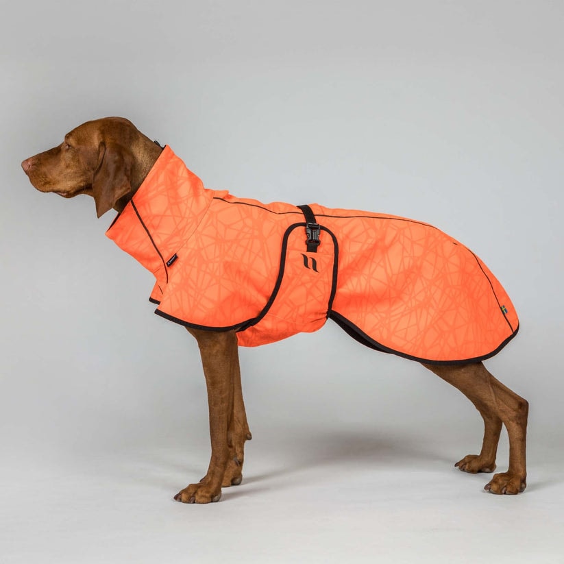 3245BARKSoftshellDogCoat_LowsettailOrangeDetail01W