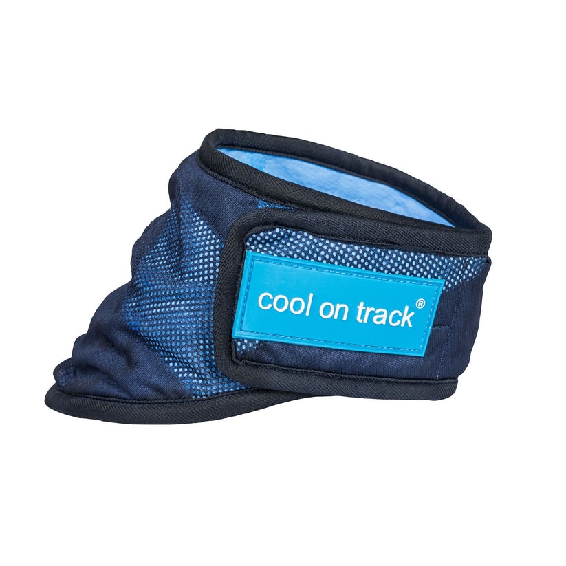 4322-Cooling-Bandana-WEB_L_02_0552ef53-755f-41ae-8