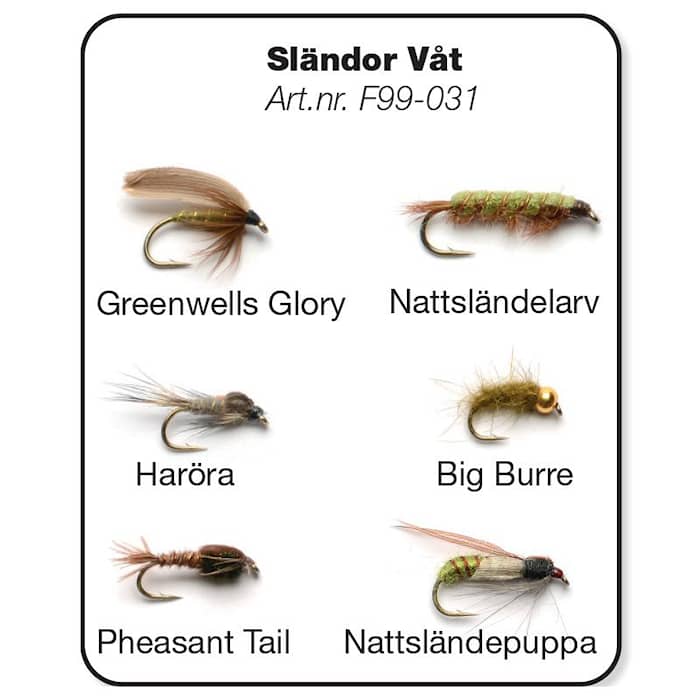 Darts Sländor Våt 6-pack