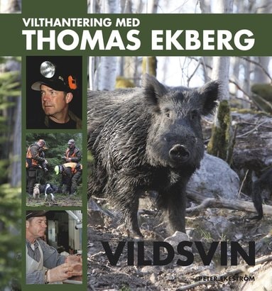 Vilthantering med Thomas Ekberg: Vildsvin