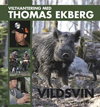 Vilthantering med Thomas Ekberg: Vildsvin