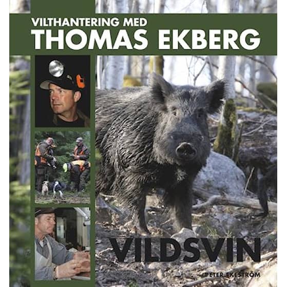 Vilthantering med Thomas Ekberg: Vildsvin