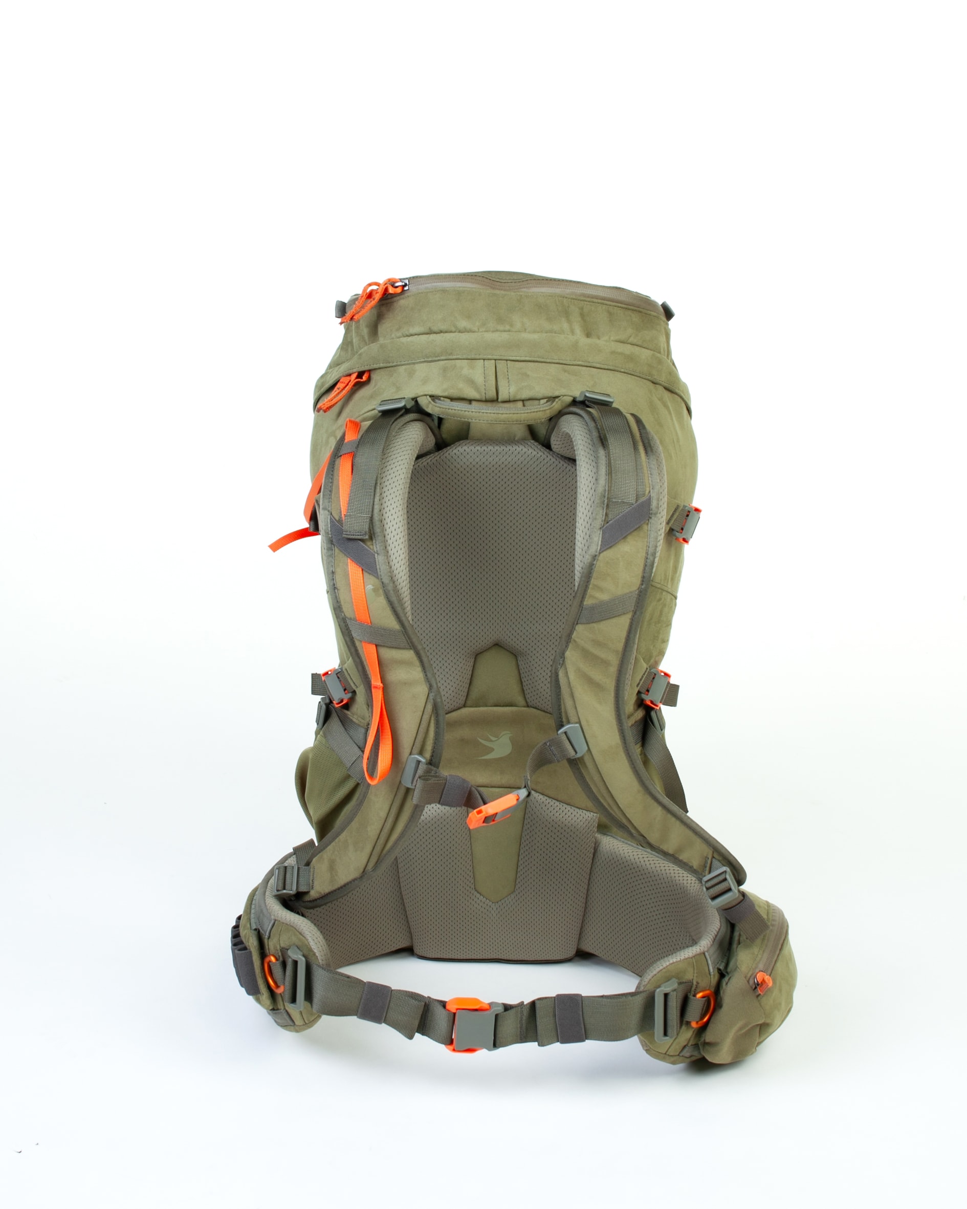 Fauna Kinglet 35 C 3.JPG