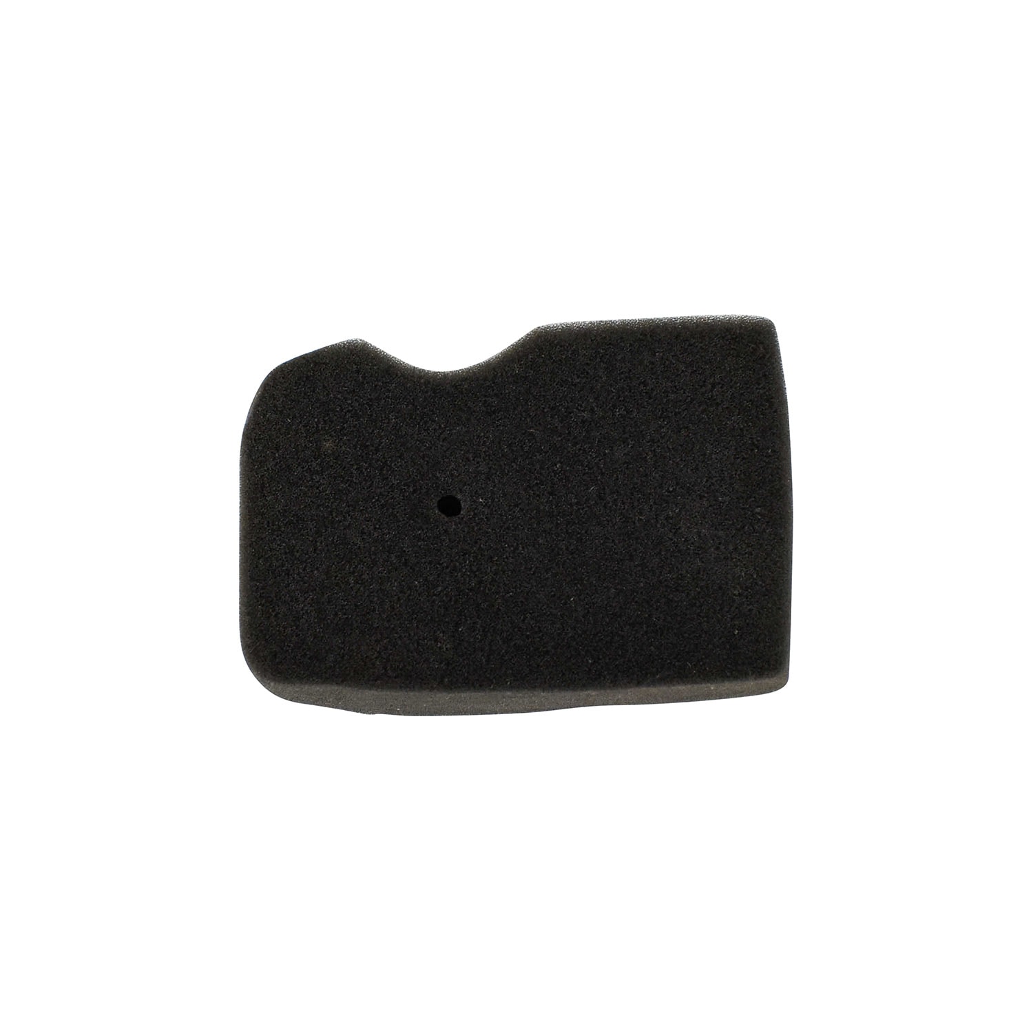 Champion Luftfilter till 100382 / 100384