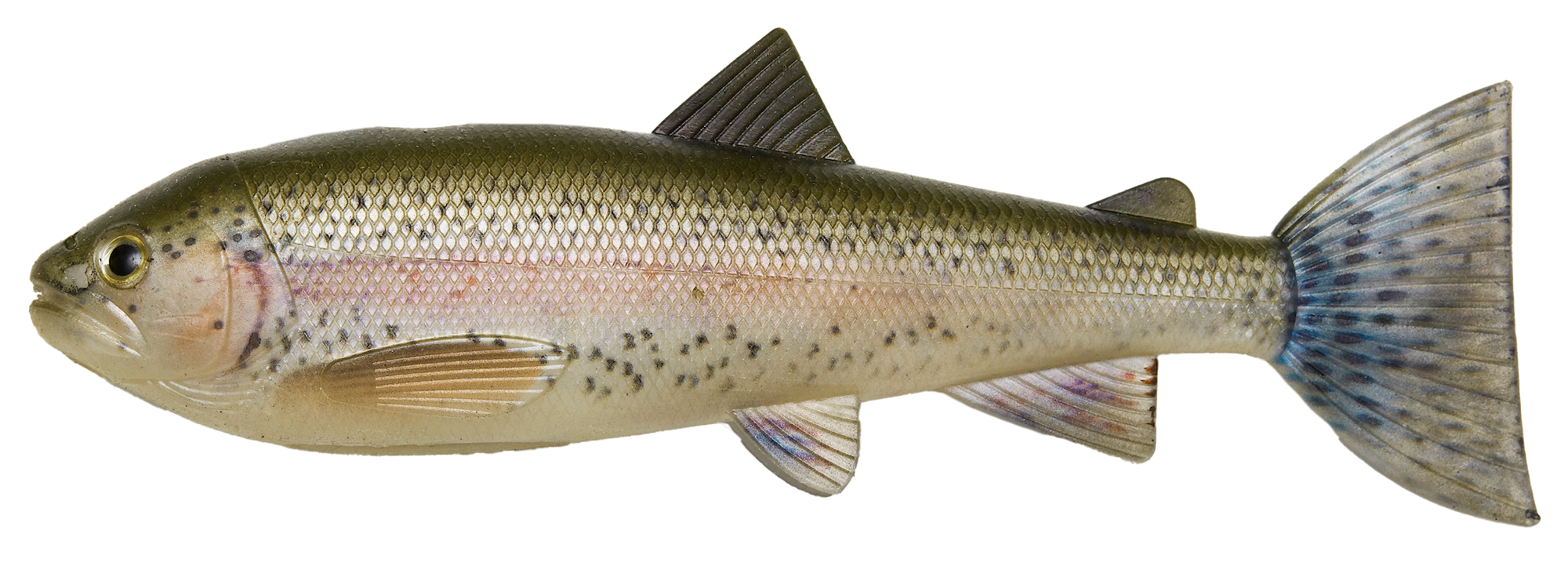 PulzBait Skinz 15 / 20cm