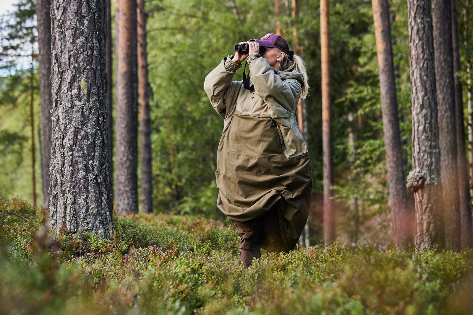 forest_anojakka_2_0_setting_3.jpg