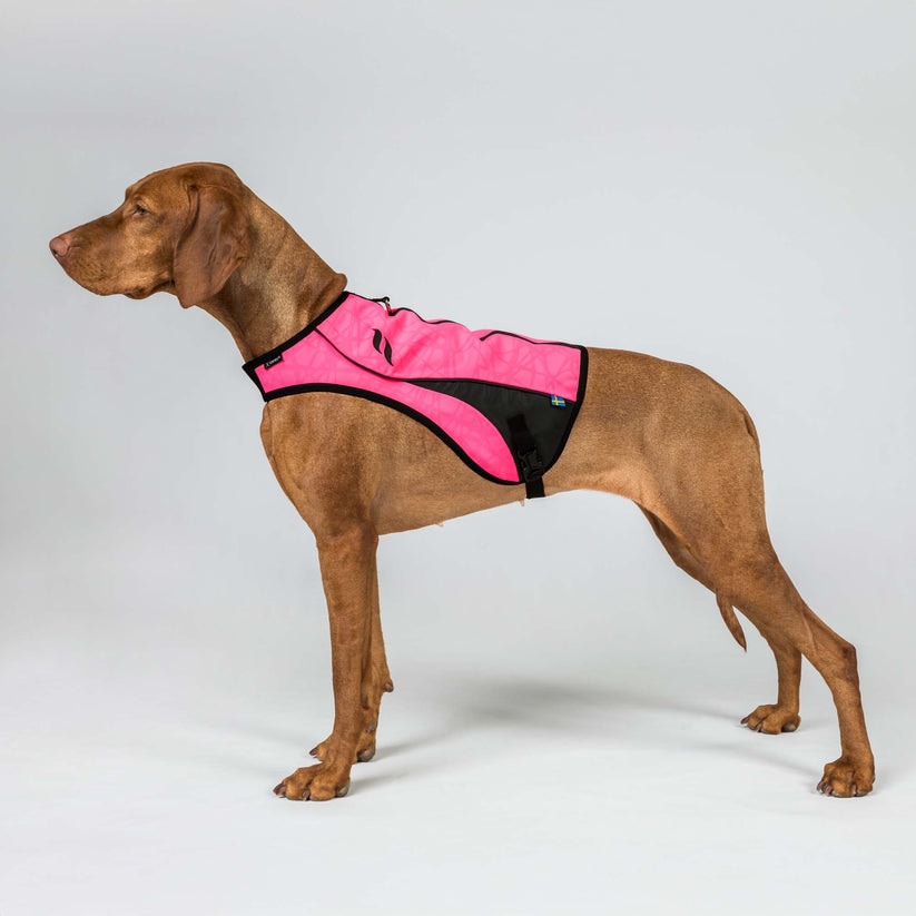 3233POINTVisibilityDogVestBrightPinkDetail01Web[1]