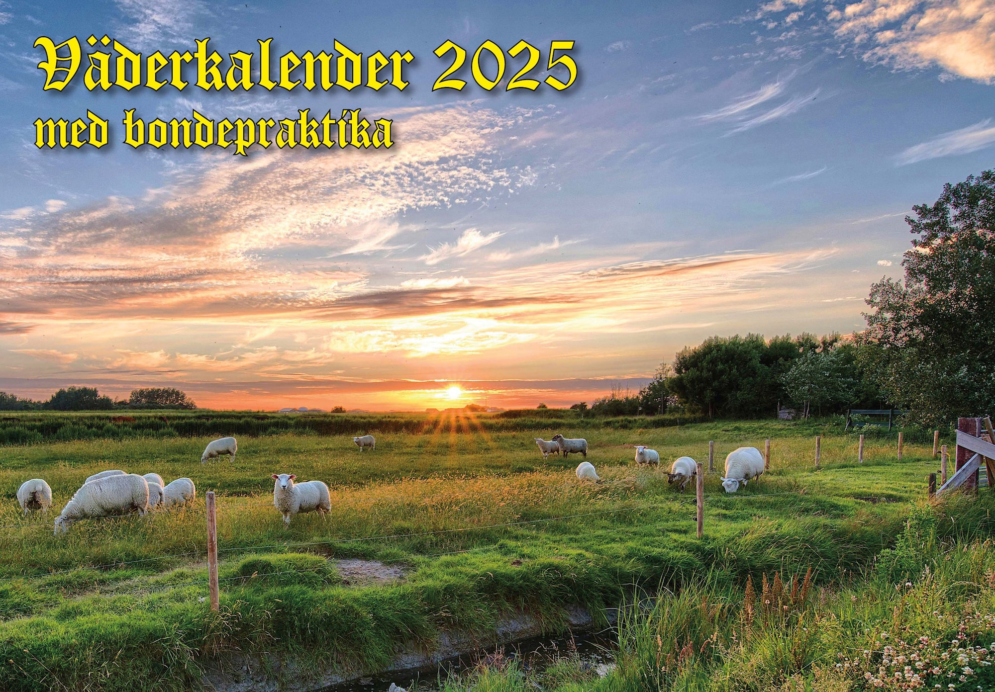 Väderkalender Bondepraktika 2025 -