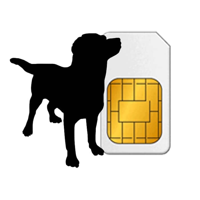 HylteSIM nytt abonnement Hundepeil 12 md. Norge