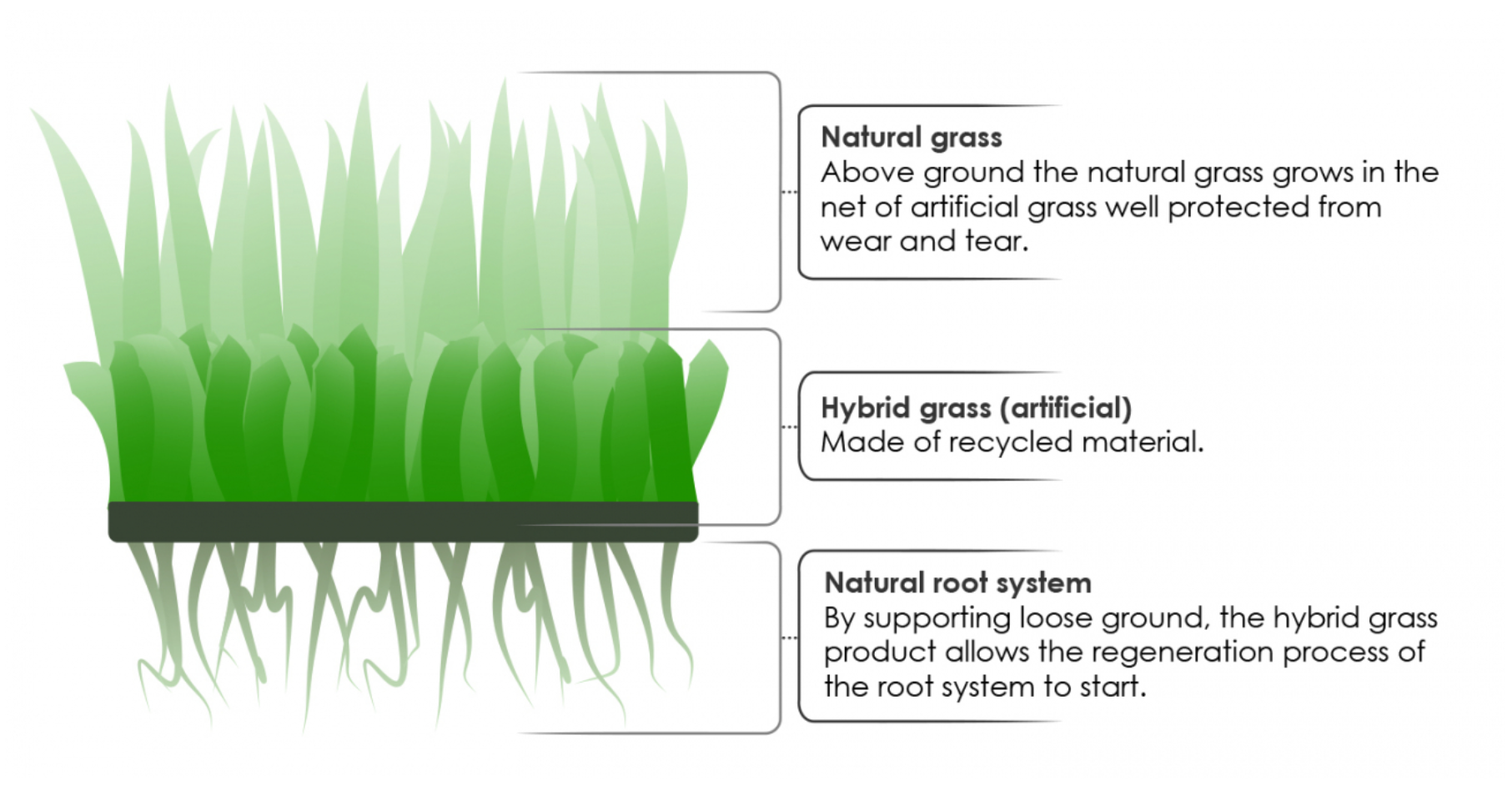 Skärmbild 2022-09-06 135110.png