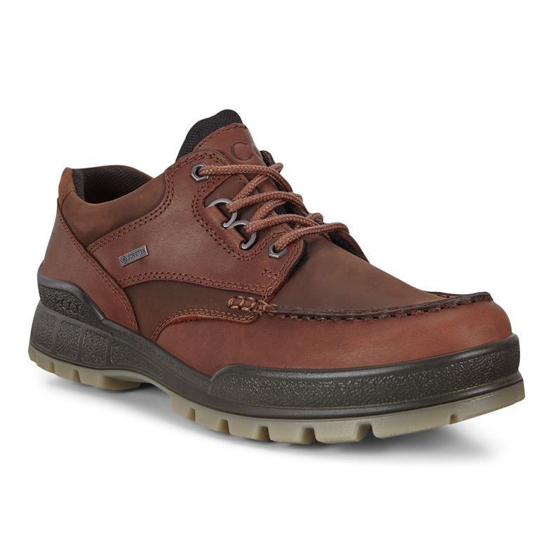 Ecco Track 25 Fritidssko Bison/bison 42 -