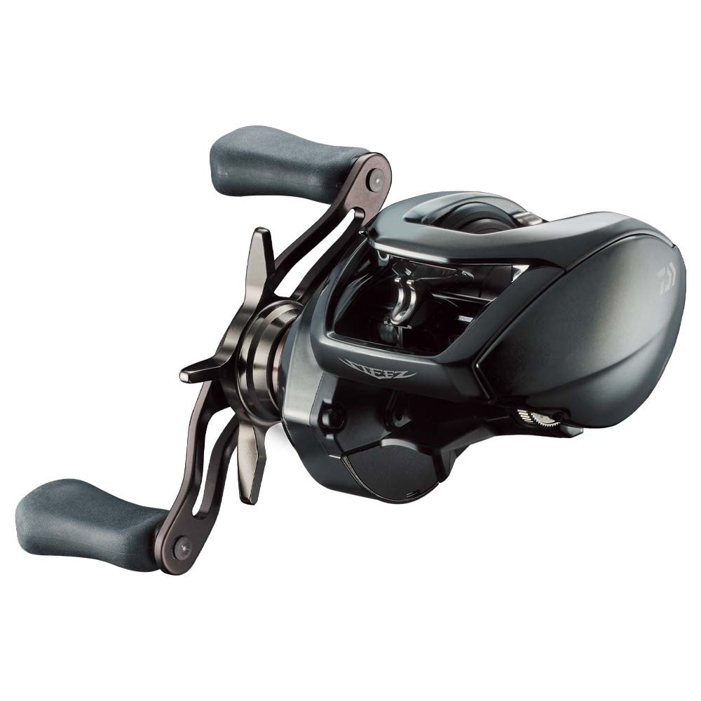 Daiwa 24 Steez SV TW 100 Multirolle