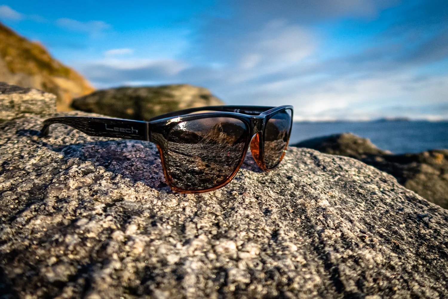 234_d8eff3635a-s2001a-2-eagle-eyec2x-leech-sunglas