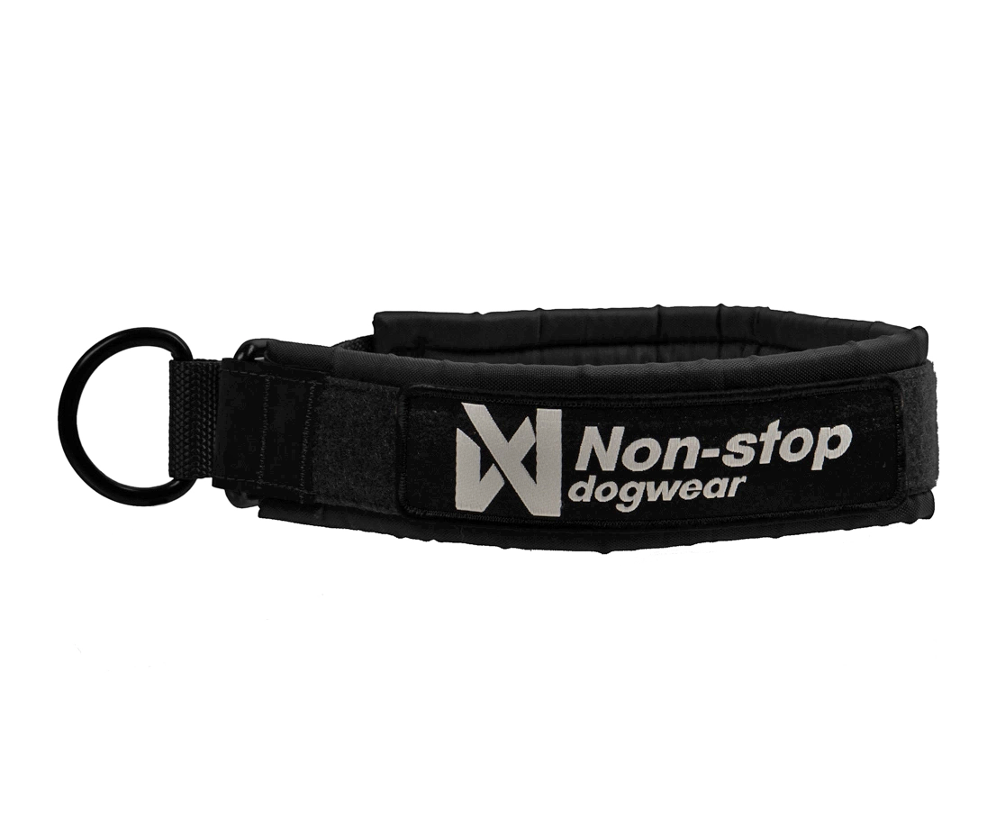 Solid collar WD, unisex, black, 55, single -