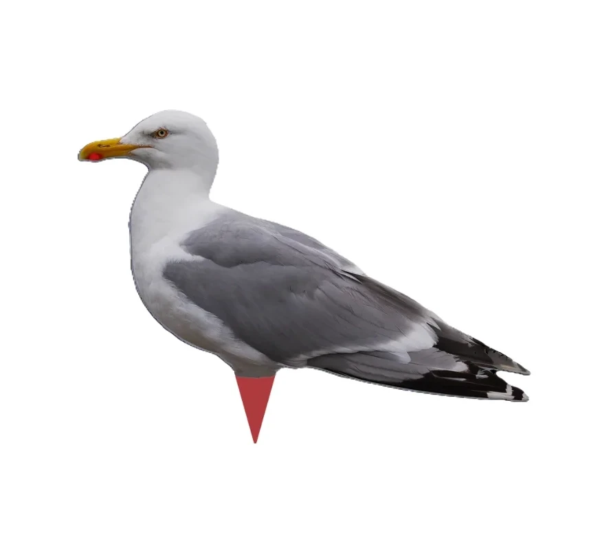 Silhouette-Lockvogel „Möwe“, 2er-Pack – Lockvogel
