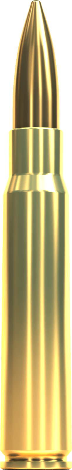 S&B 8 x 57 JS, 196gr FMJ 50st