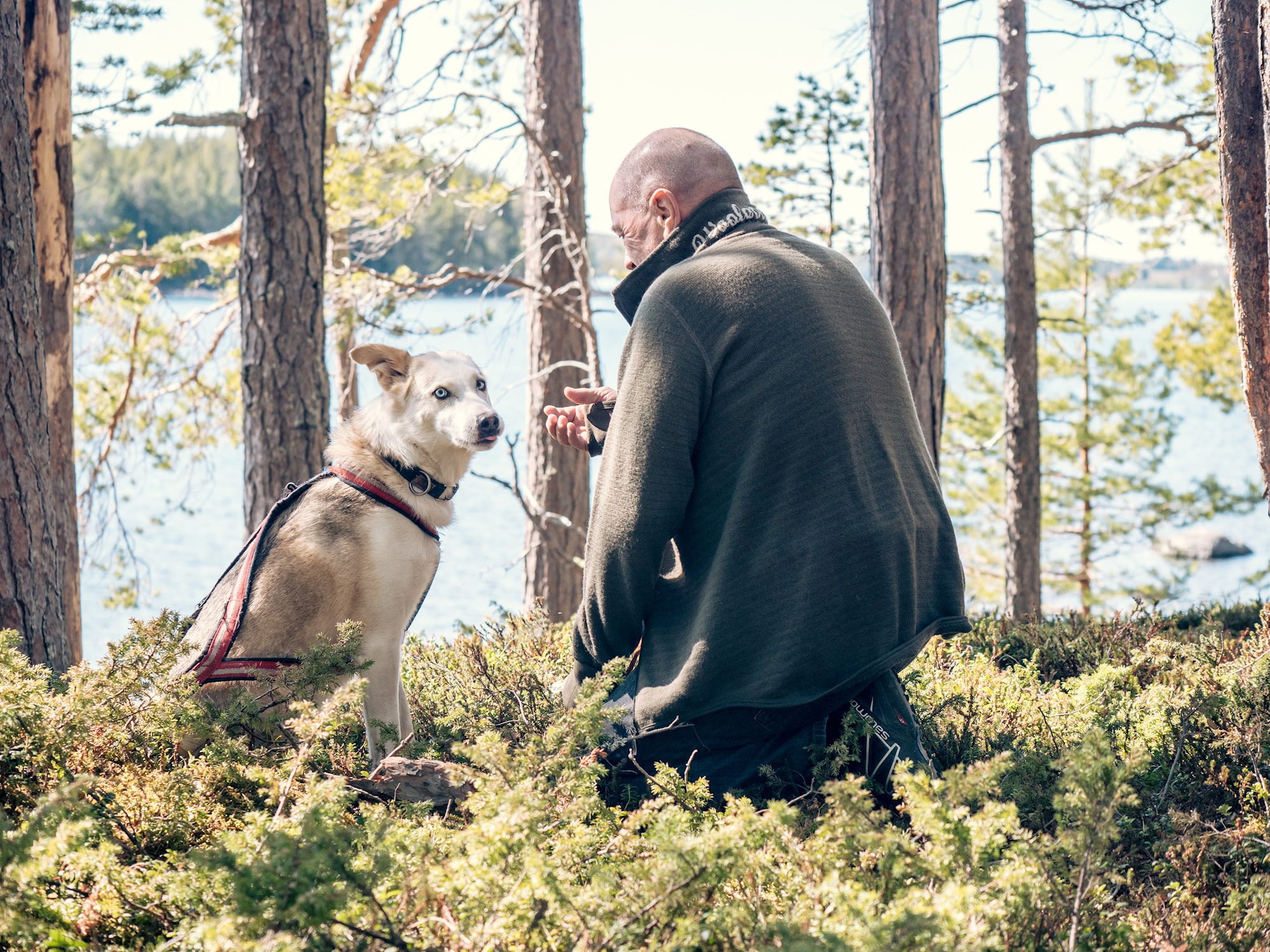 Older active couple - stor (283750).jpg