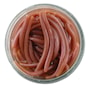 gulp-alive-earthworms-brown-1-1.jpg