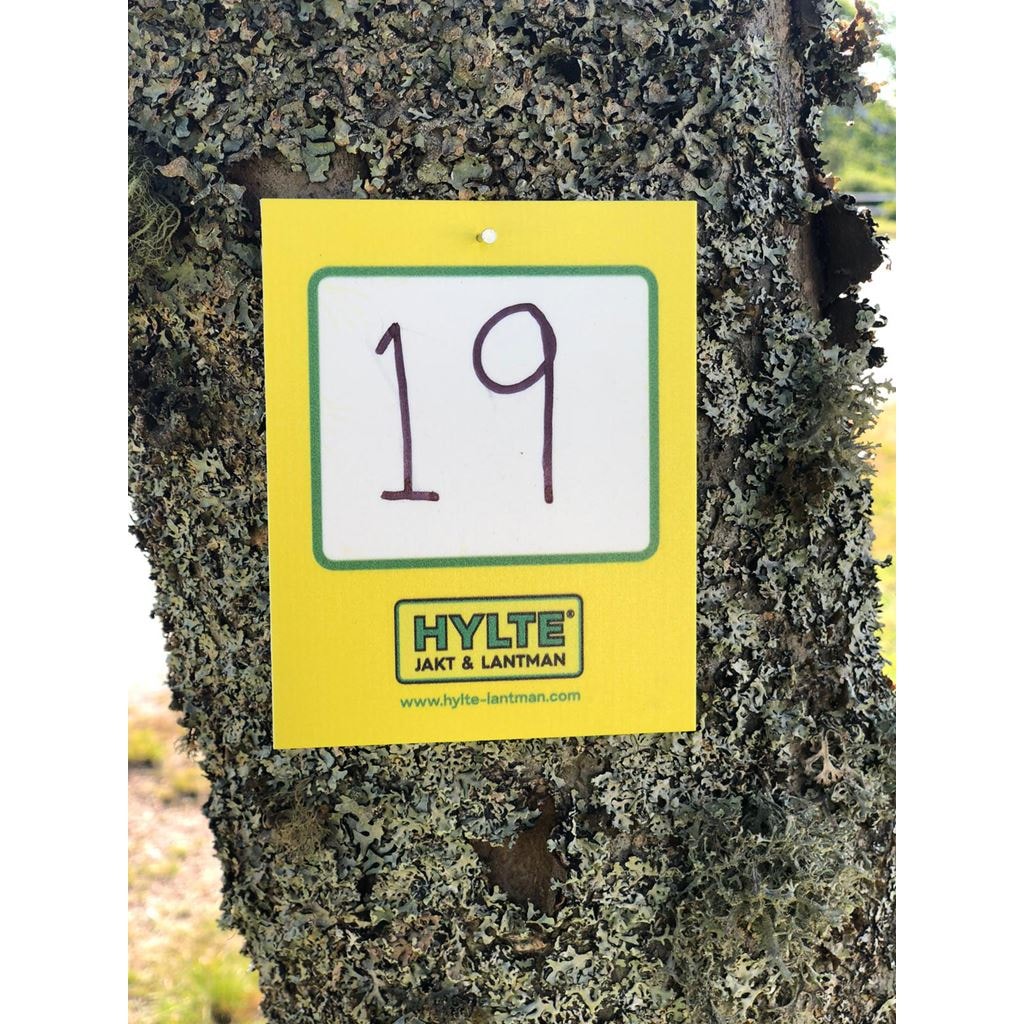 Hylte Stedsskilt Gult