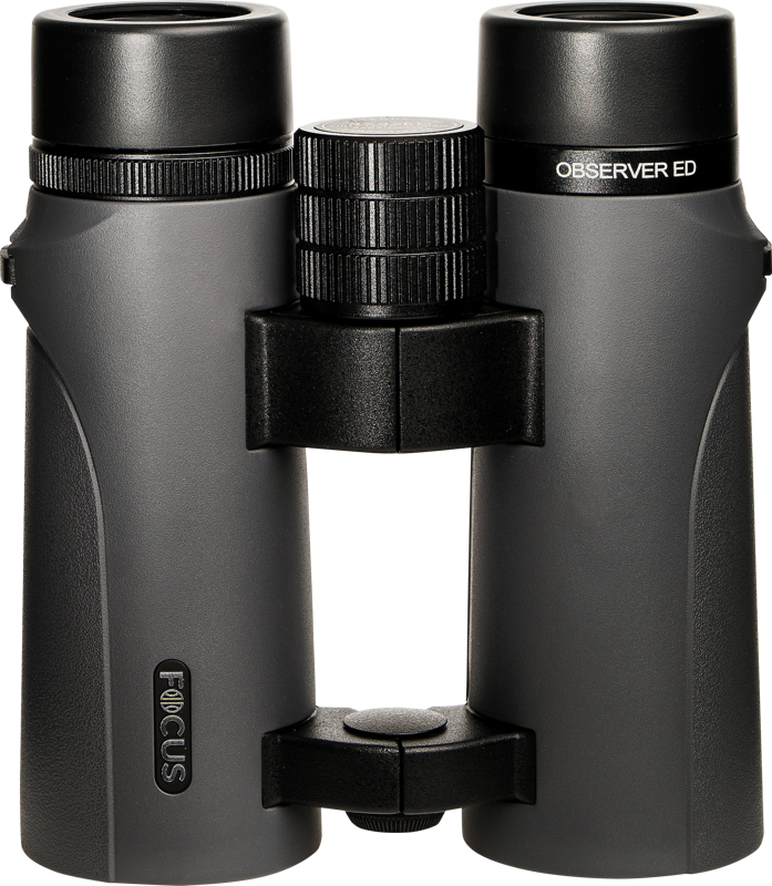 Focus Observer 8x42 ED Kikare