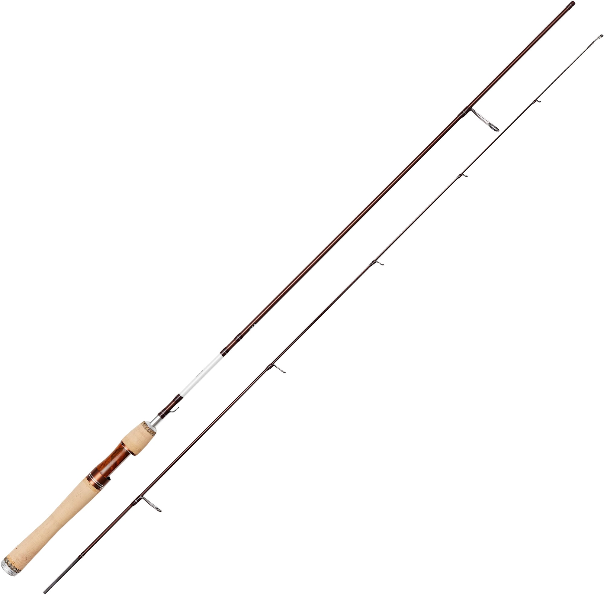 Myran Myrmecia Trout Haspelspö