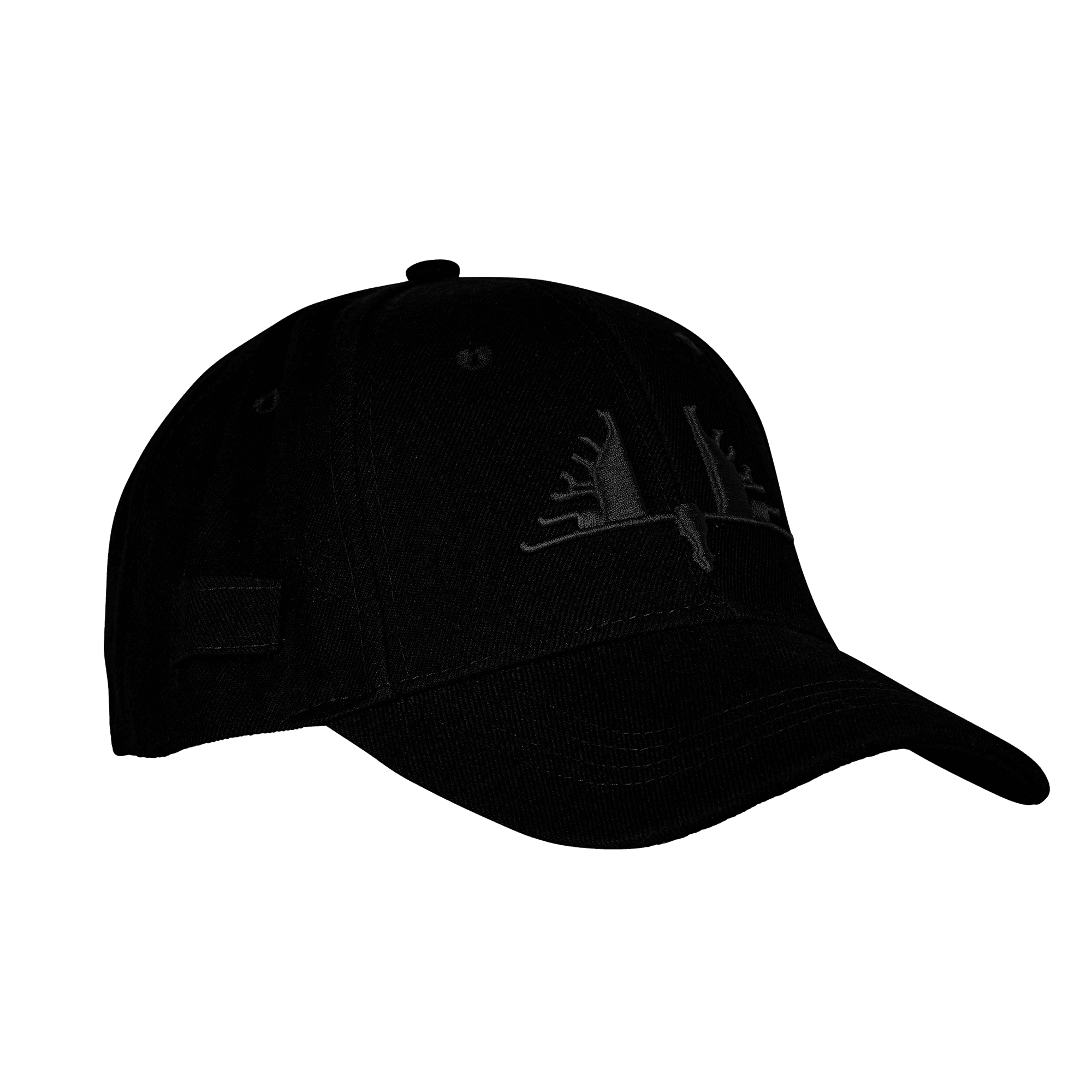 Swedteam Ultra Kappe Herren Black