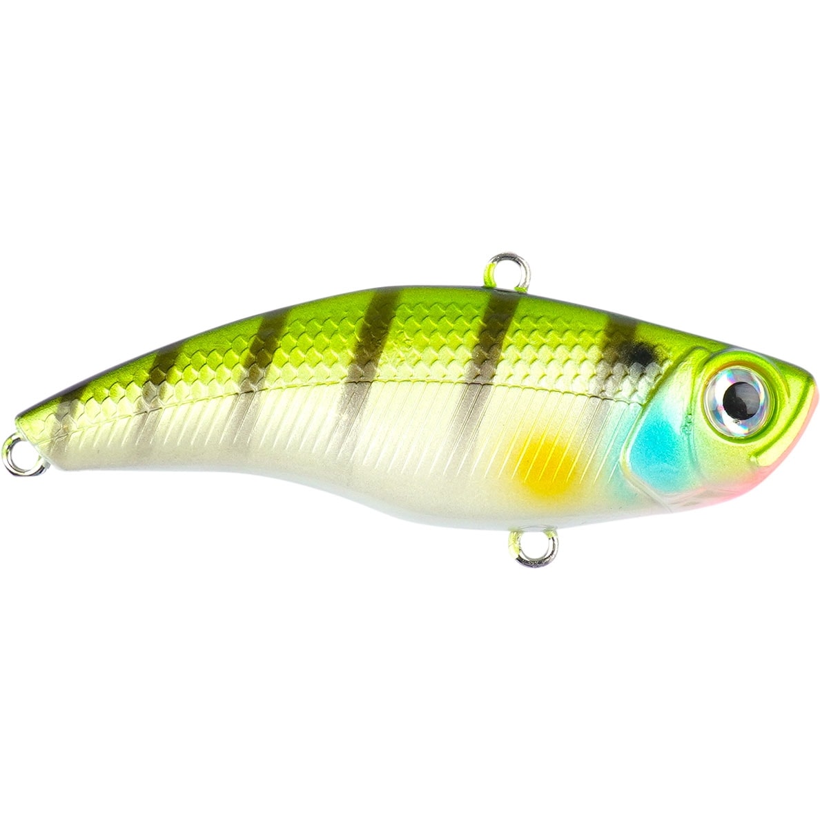 Darts Shake Xpress 6,5 cm Striped Bass