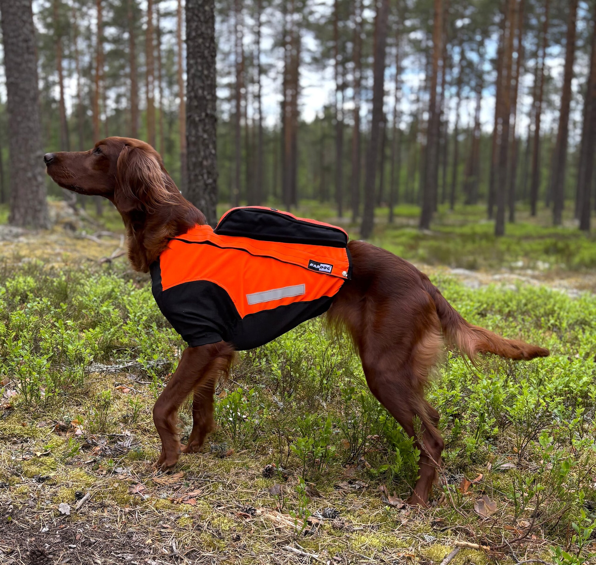 Kardog HILLA – Flexibel Skärskyddsdräkt med GPS-fäste och ben