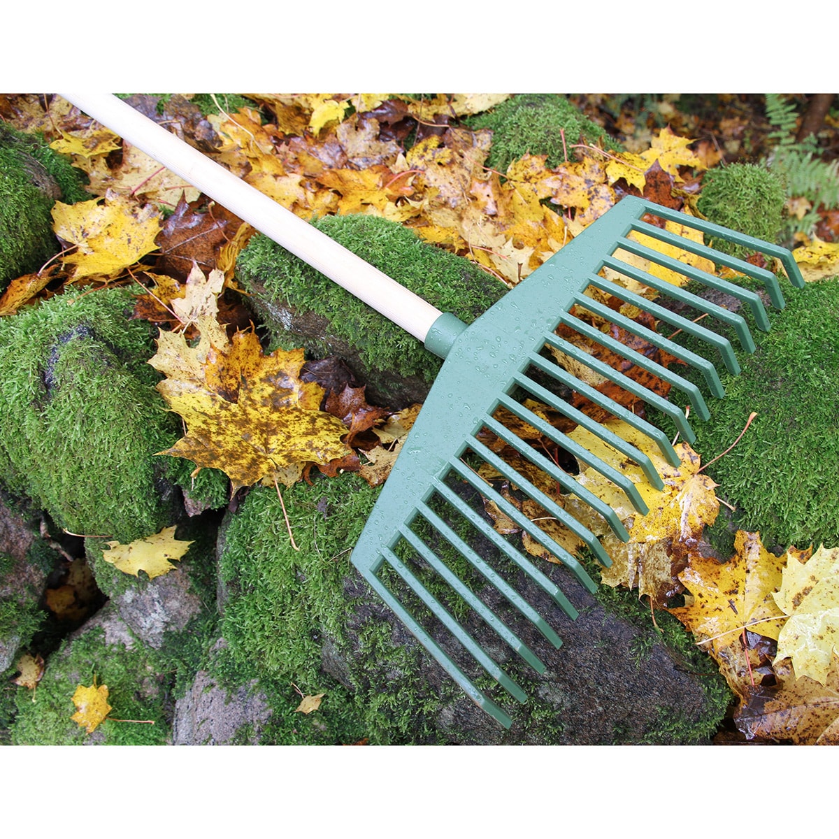 14203000000__6d009a81-fa2a-4539-80ac-006d630e598e.