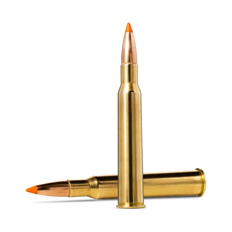 Norma Tipstrike 7x65 R